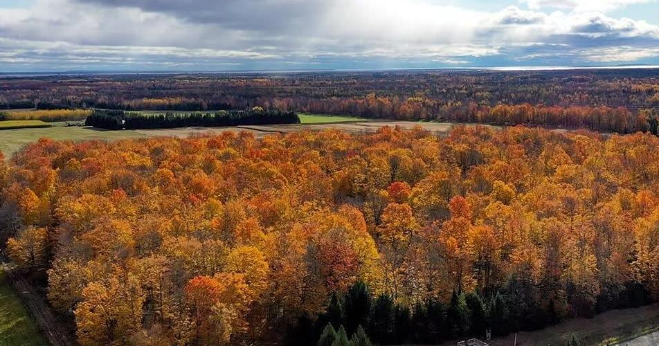 Center explores maple sap through health lens