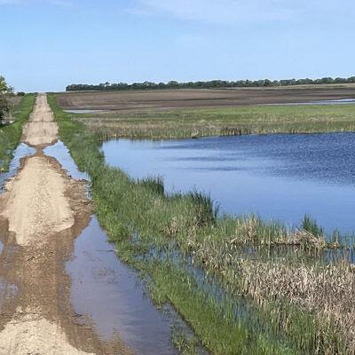 flooded field