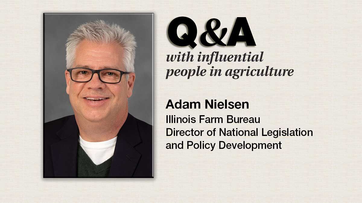 Q-&-A--Adam-Nielsen