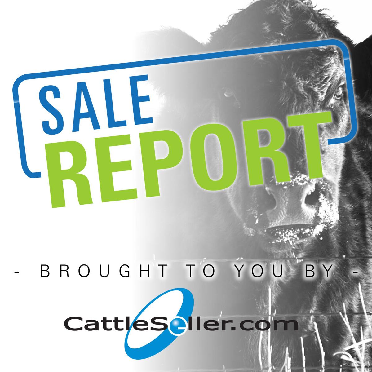 Carl Dethlefs & Sons Bull Sale
