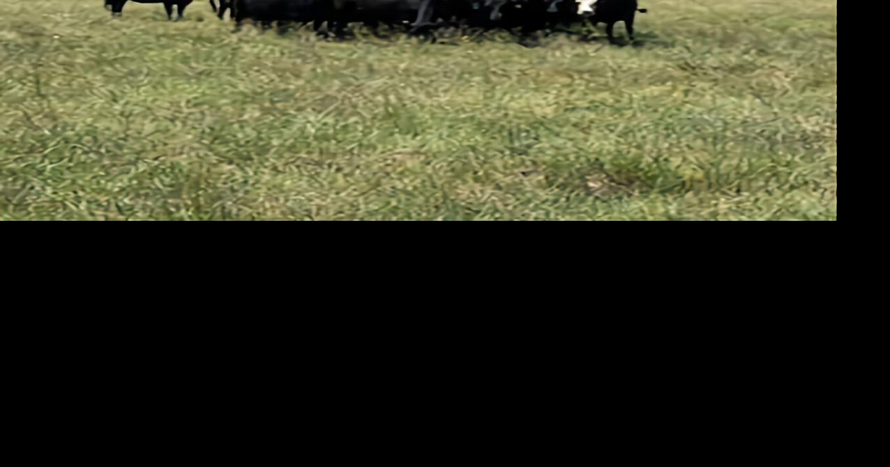 Green grass, garden produce plentiful in western Nebraska this summer