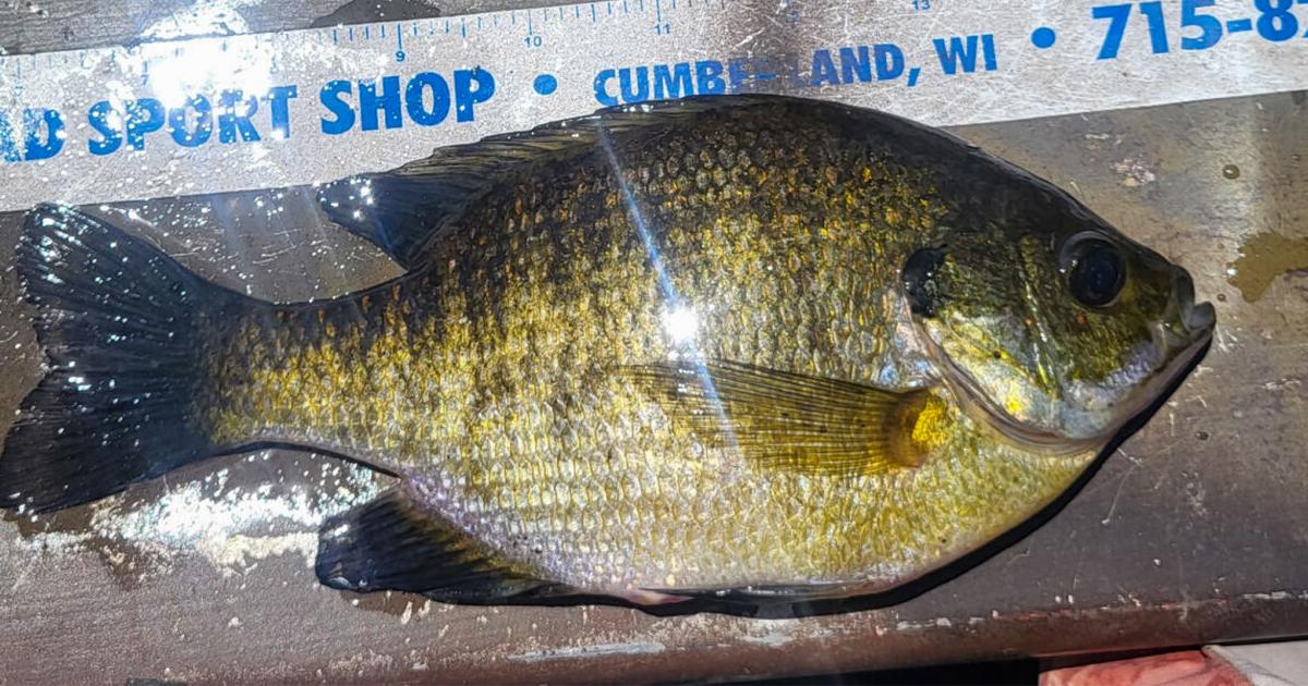 An Outdoorsman's Journal An Outdoorsman's Journal Mark Walters For Agri-View Jun 20, 2026 7 mins ago