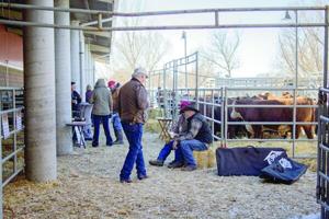 MATE Show ready to showcase latest and greatest in agriculture