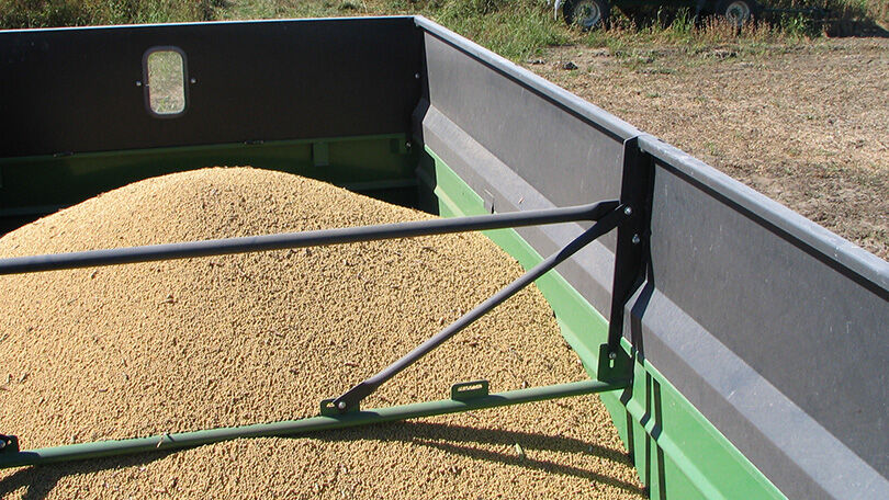 Soybeans in wagon