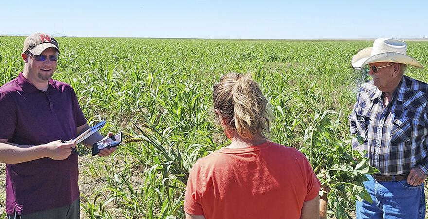Three people in field