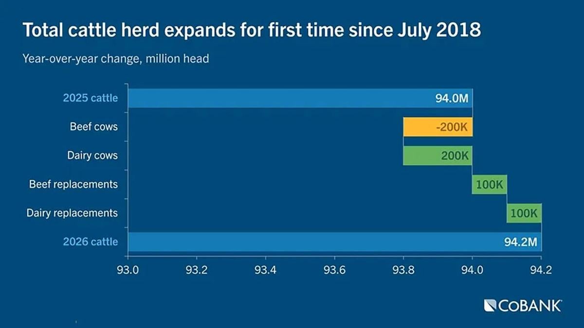 Herd expands