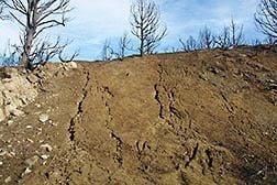 An example of rangeland soil erosion