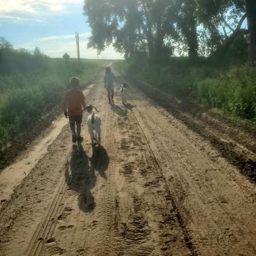 PPR Spickelmier 3.jpg