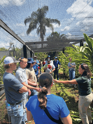 college kids to brazil