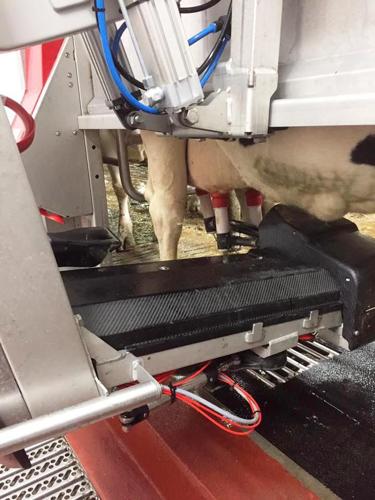 Close up of robotic milking system