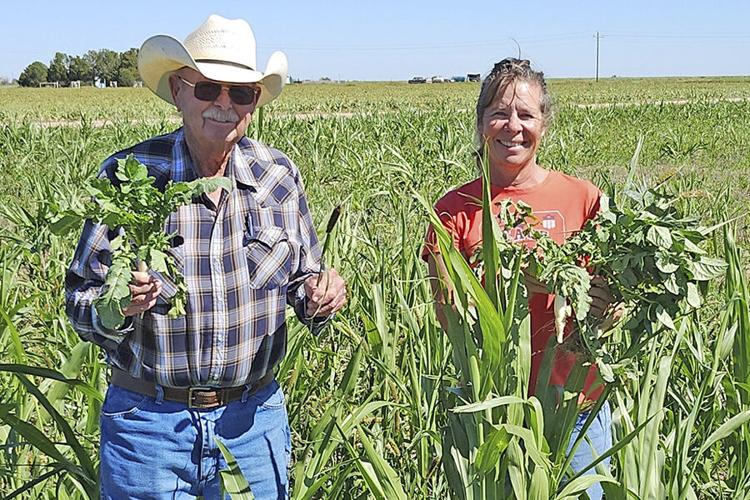 Two people in field