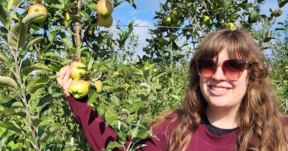 Adapt to apple-production systems