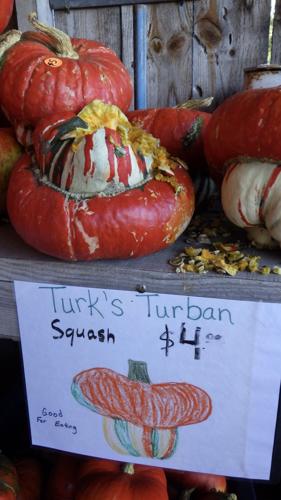 Squash