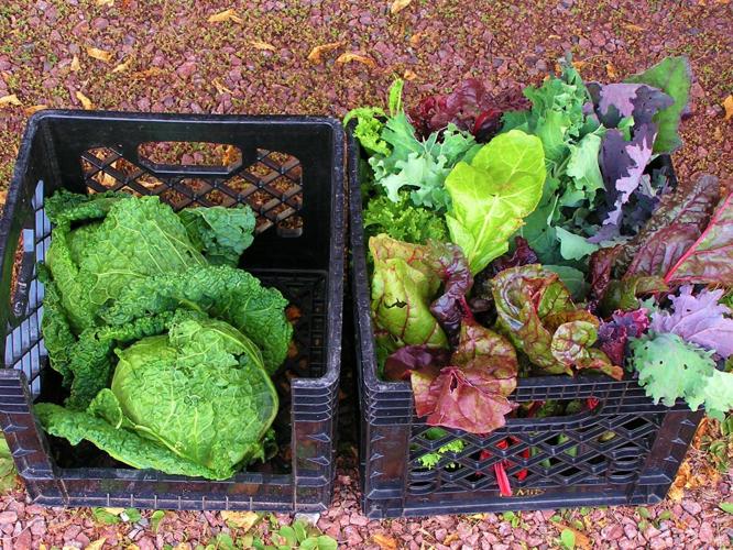 Produce in crates