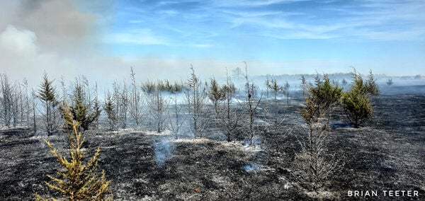 Burning pastures 2