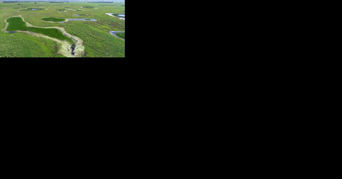 $25M grant to help restore grasslands in South Dakota - Vimarsana News