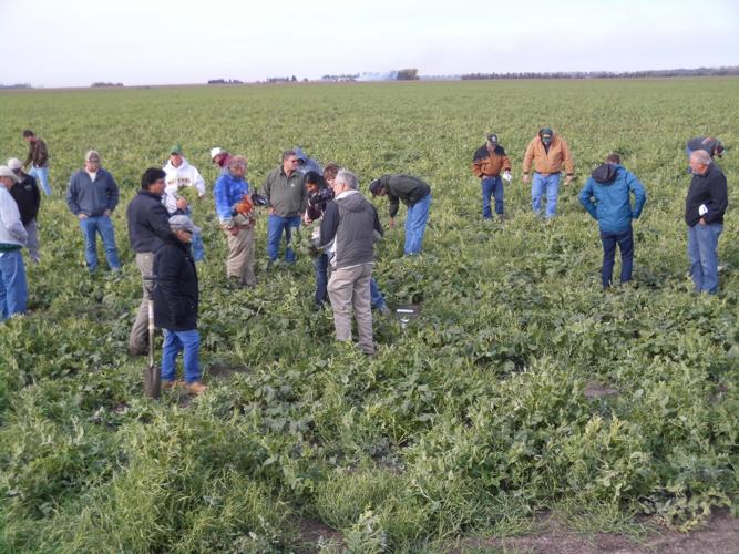 Cavalier County soil tour 1