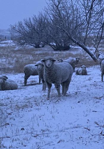 Blackman reflects on changes to the industry, area