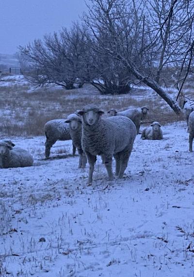 Blackman reflects on changes to the industry, area