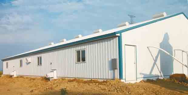 lieser confinement barn sheep