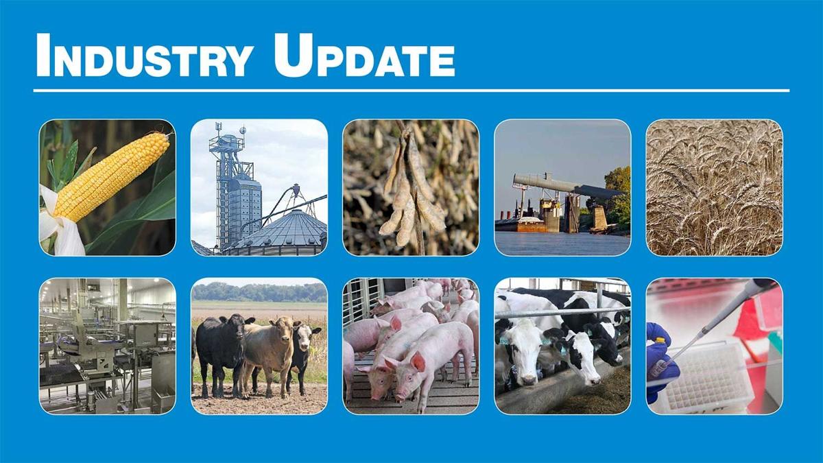 Industry-update-placeholder