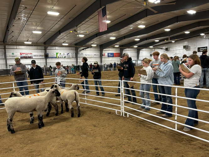 Giltner FFA Pictures - Livestock Judging