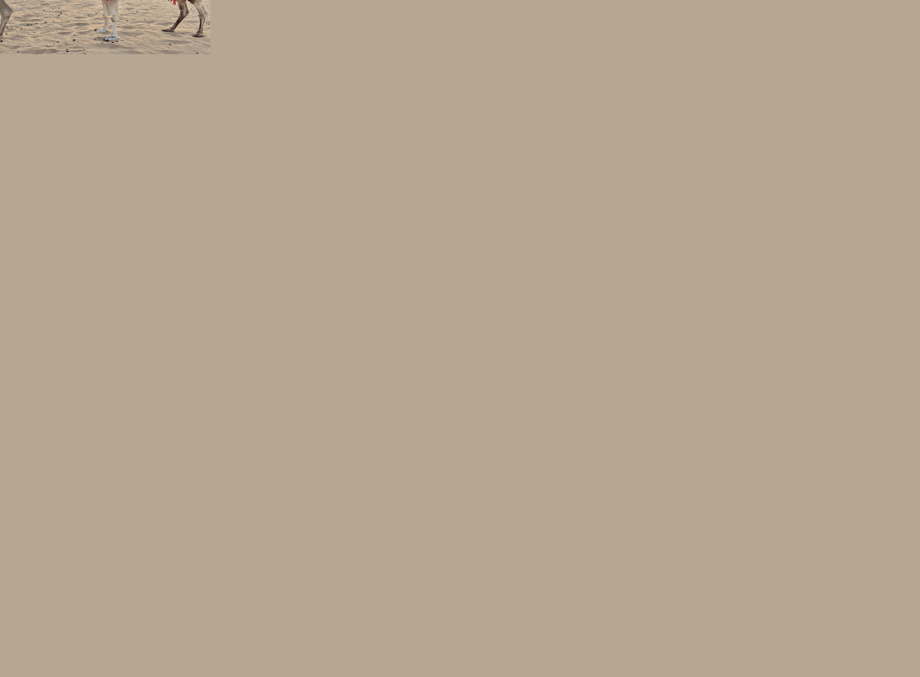 A different horse for a different sandhill