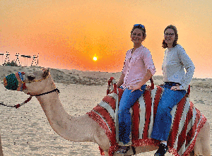 A different horse for a different sandhill