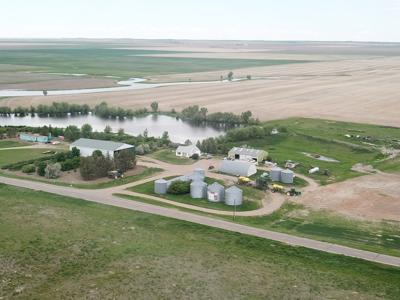 Johnson farm starts winter wheat harvest