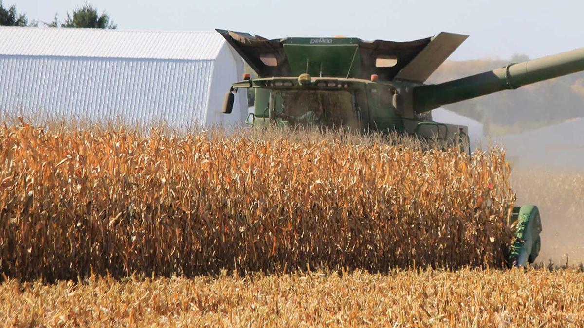 2023 corn yield contests