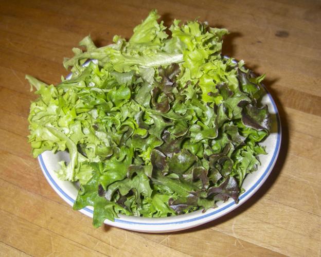 Salad greens