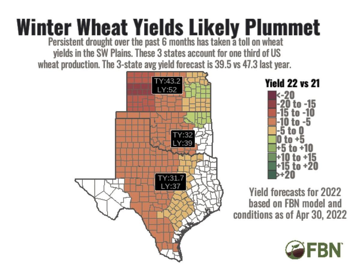 winter wheat yields