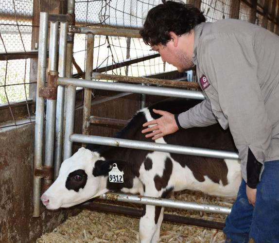 Miguel Viveros with heifer