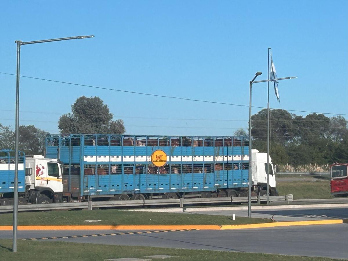 Argentina salebarn 1.jpg