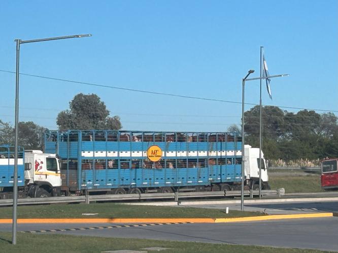 Argentina salebarn 1.jpg