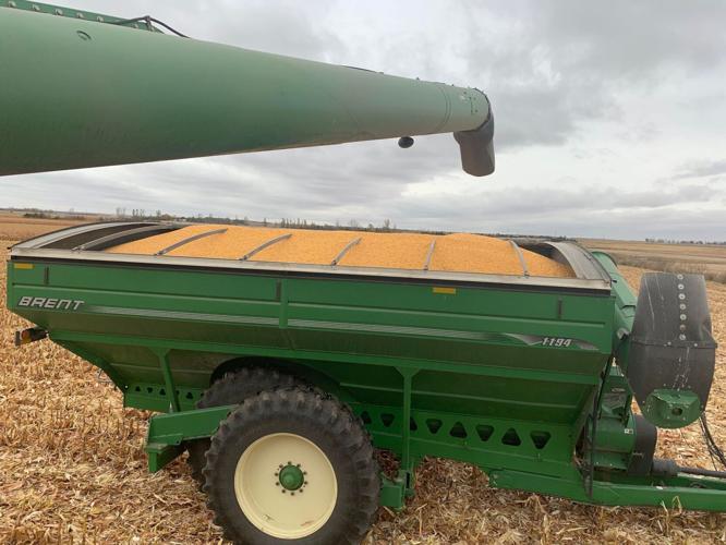 Late Season Rain (1).jpg