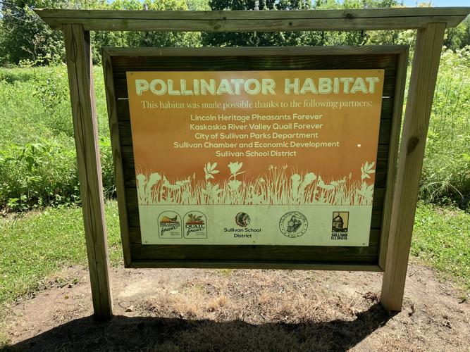 pollinator habitat in Sullivan, Ill