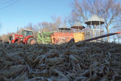 Neighbors dust off old equipment,  shell corn for  farmer in need