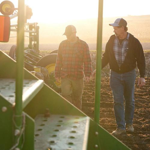 second planting picture