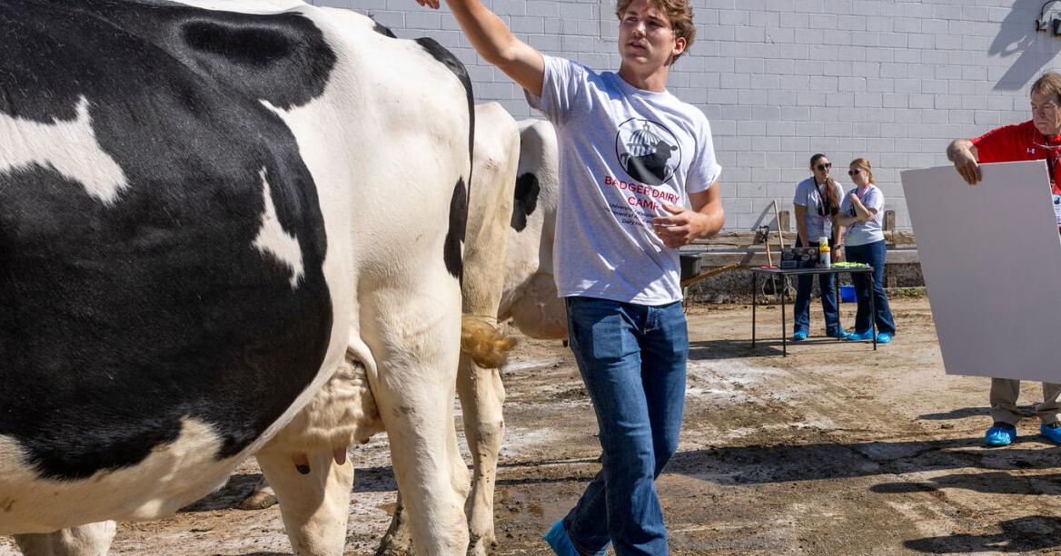 Dairy youth camp returns
