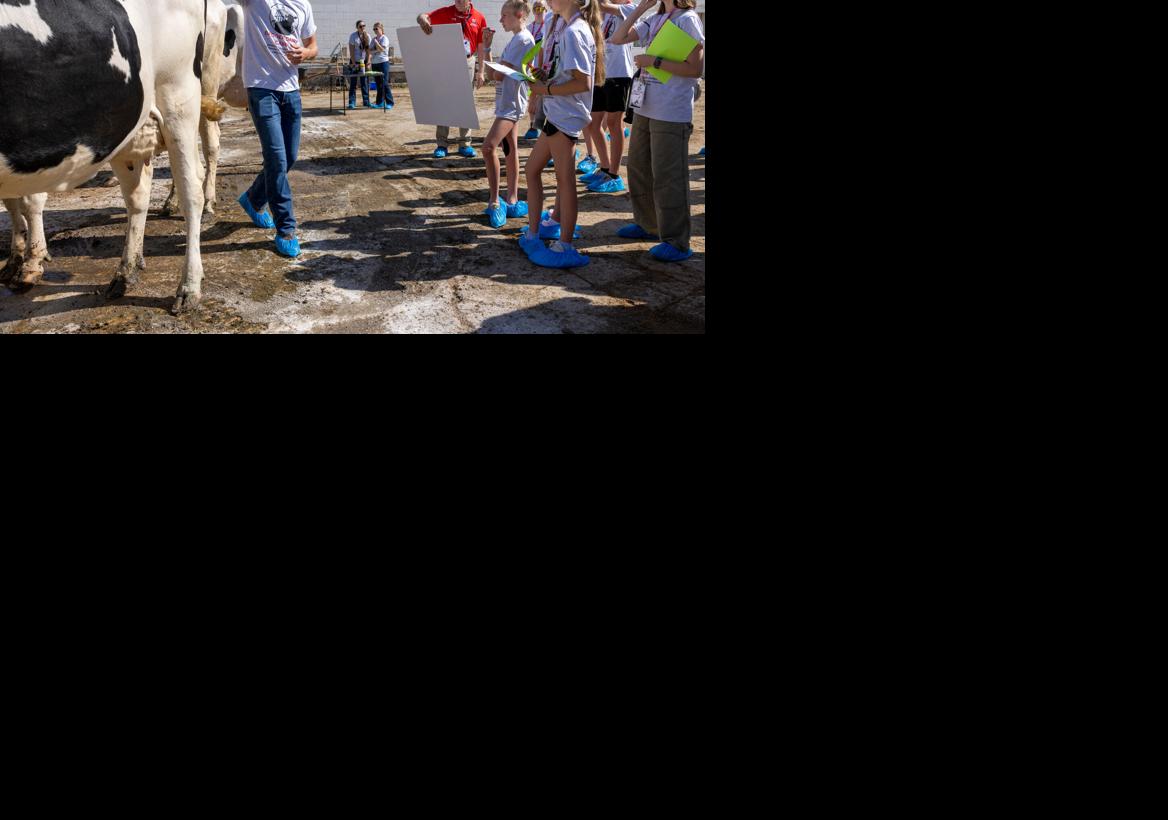Badger Dairy Camp