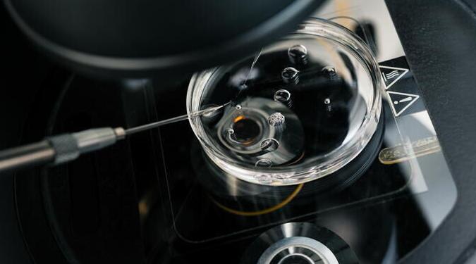 Petri dish