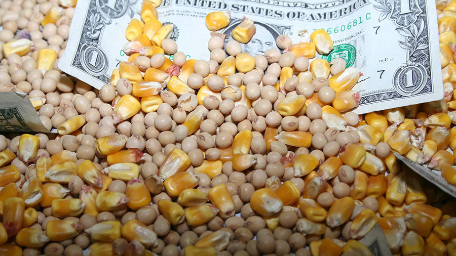 Corn and beans with money