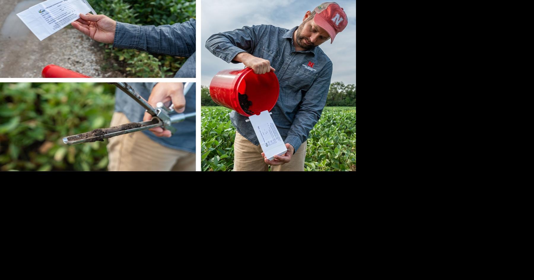 Free SCN testing available for Nebraska farmers