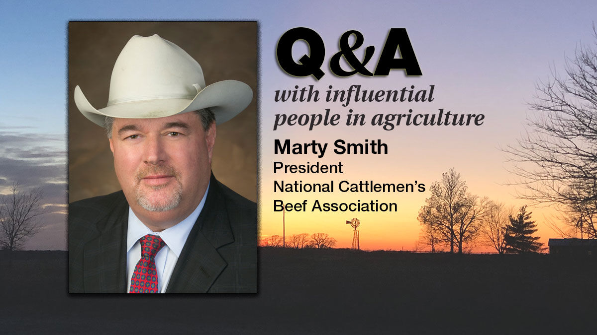 Q & A Marty Smith