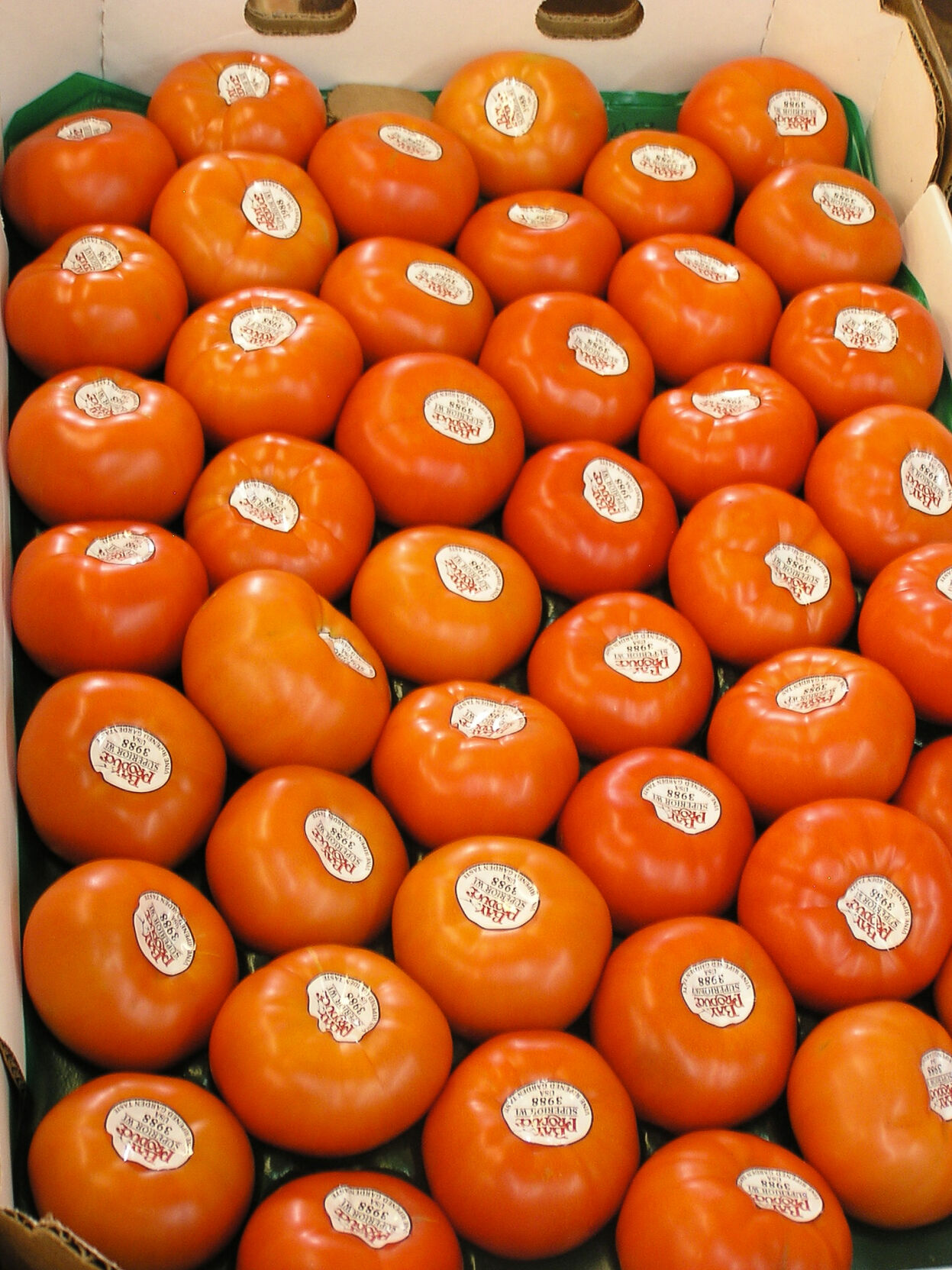 Tomatoes