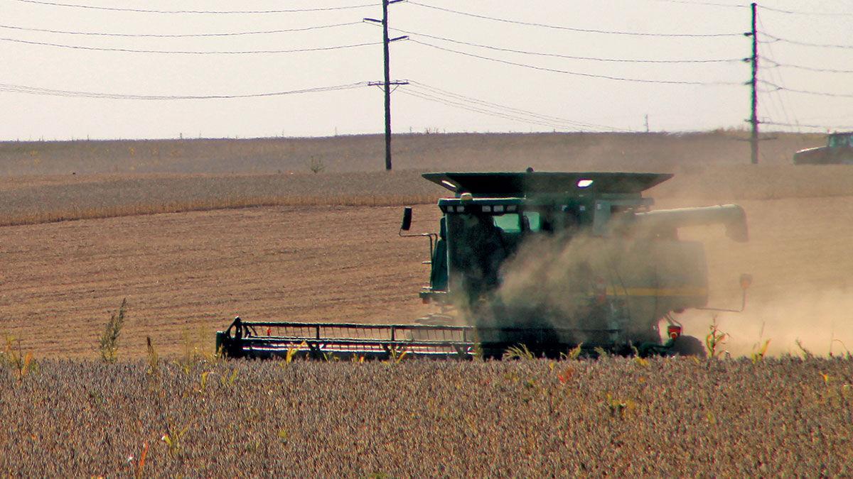 Steve Kamps steers a combine through a field on the Harold Lande farm