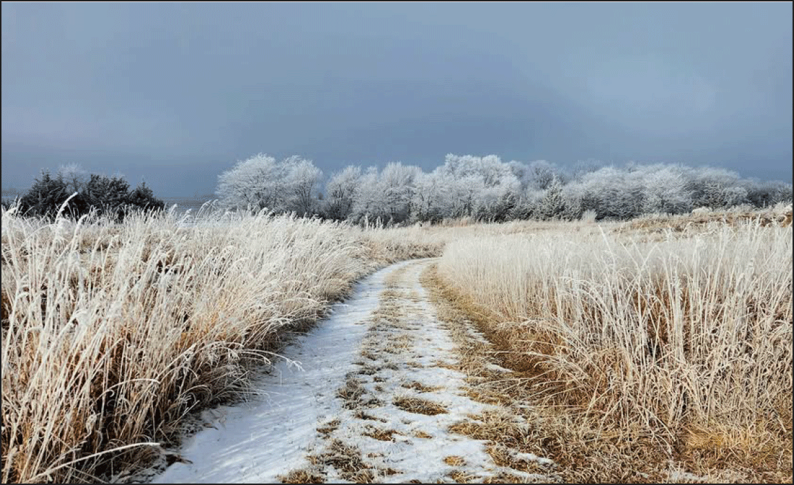 winter scene on the farm of trail