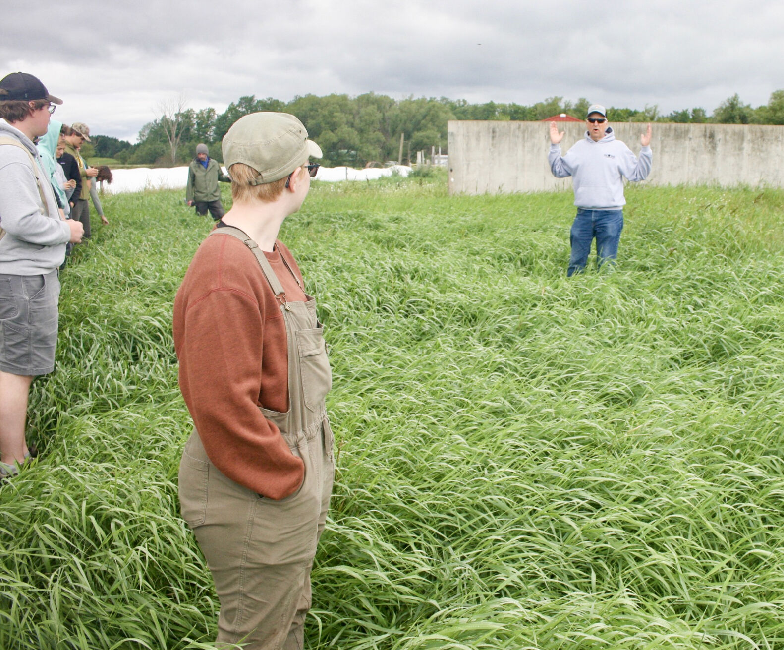 Quackgrass pasture