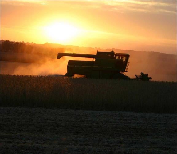 tractor in field